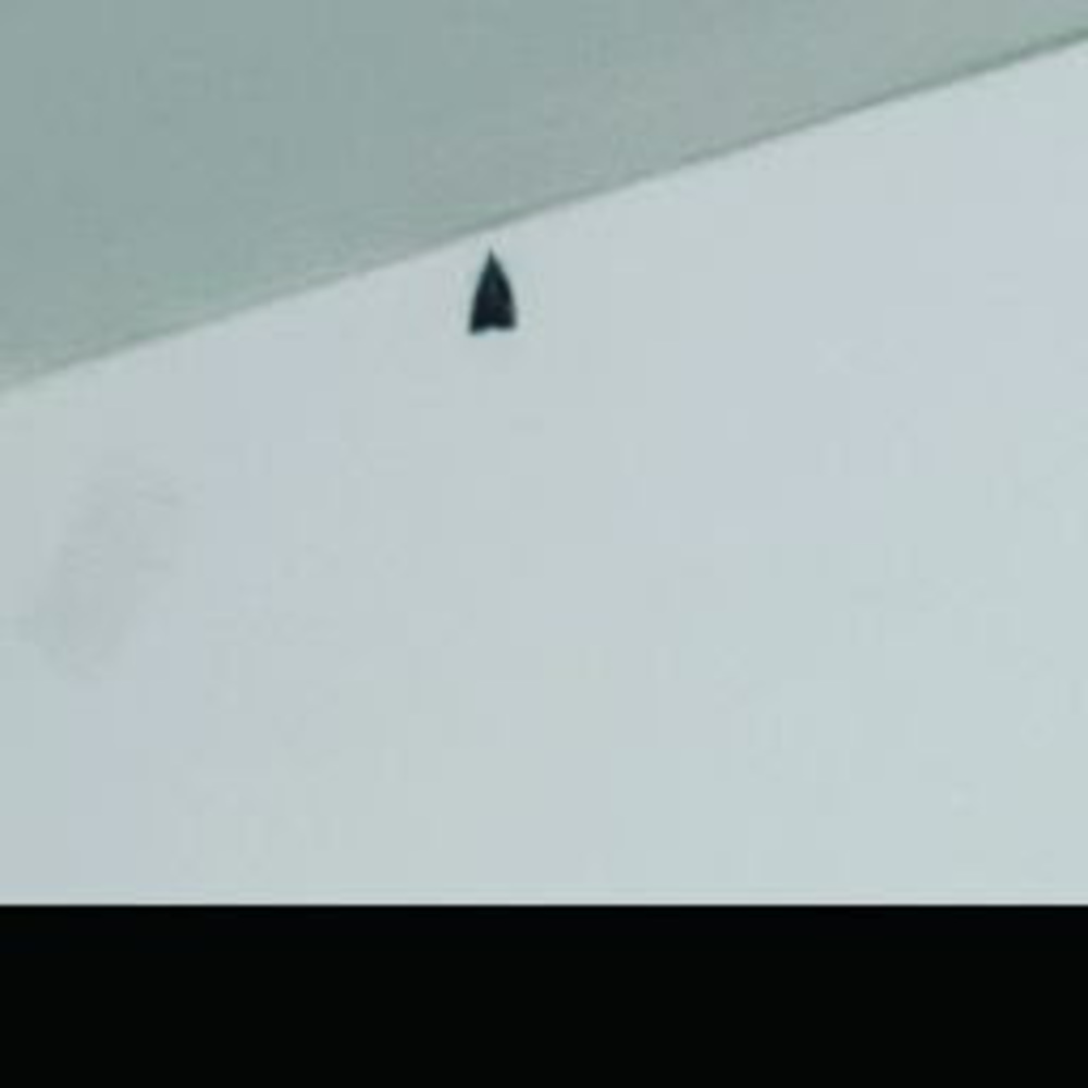 Meet your Posher, Raphael